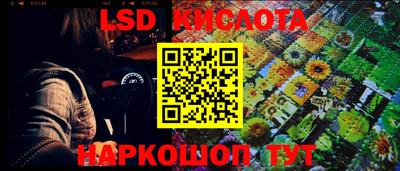 гидропоника Пушкино