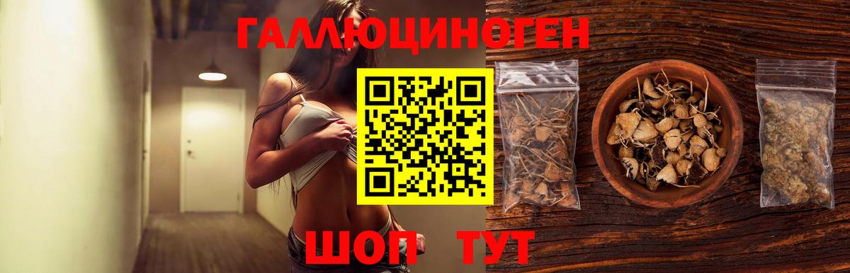 Псилоцибиновые грибы мицелий Северск